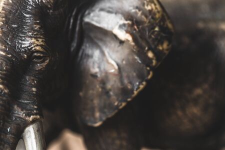 elephant toy close upの写真素材