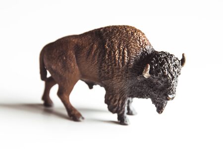 toy bison. animal of plastic material isolated on white backgroundの写真素材