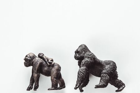 Two Toy Silver back gorilla back to back with white backgroundの写真素材