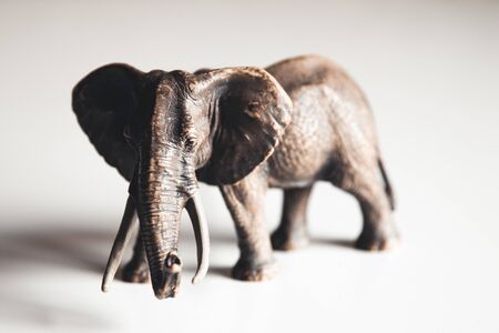 Eephant toys isolated on white backgroundの写真素材