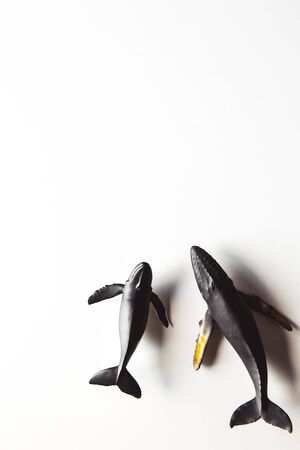 Humpback whale toy on white background.の写真素材