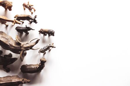 Group of animals toys isolated over white background. animals toys.