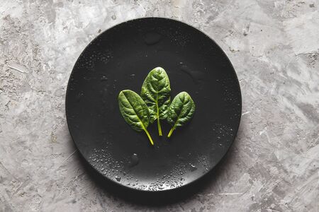 Fresh mini spinach on the old concrete table. Vegan, wholesome foods.の写真素材