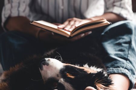 woman and dog lifestyle image. Bernese Mountain Dog is sleeping in his arms.