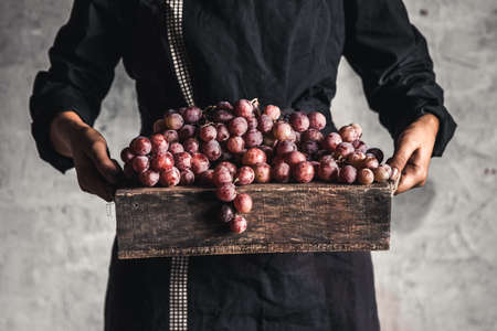 Autumn harvest. Fresh grapes bunch in wooden box. Ripe grape in woman hands.の写真素材
