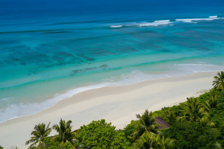 Capture the essence of a tropical paradise with this stunning aerial photograph showcasing a pristine beach with crystal clear turquoise water meeting the soft white sand Lush green vegetation and exotic palm trees frame the scene inviting viewers to imagine a peaceful and rejuvenating vacation The gentle waves create a soothing atmosphere offering an escape to serenity and tranquility in this picturesque destination perfect for travel brochures and idyllic vacation advertisingの素材