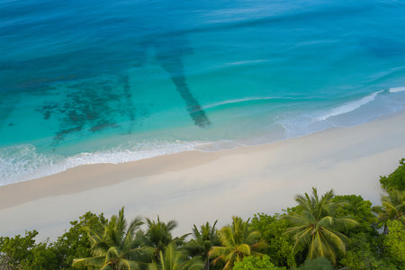 Tropical beach with coconut palm trees and turquoise waterの素材
