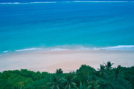 Tropical beach with coconut palm trees and turquoise seaの素材