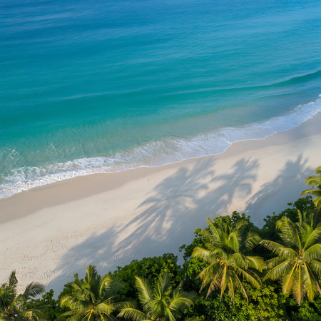 Aerial view of beautiful tropical beach and sea with coconut palm tree for travel and vacationの素材