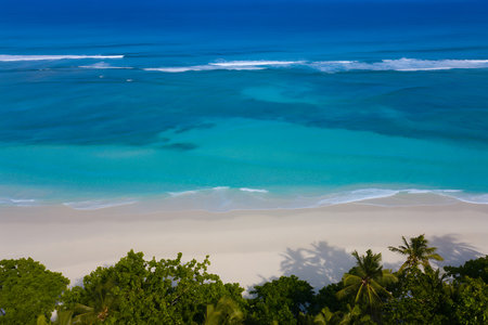 Capture the essence of a serene tropical paradise with this stunning aerial view The image showcases crystalclear turquoise waters meeting a pristine white sandy beach Lush greenery borders the shoreline adding a vibrant contrast to the scene The calm waters gently lap against the shore creating a peaceful atmosphere perfect for relaxation and vacation getaways This idyllic landscape invites viewers to escape to a tropical oasis and enjoy the beauty of nature at its finest Perfect for travel brochures website backgrounds or any project needing a touch of paradiseの素材