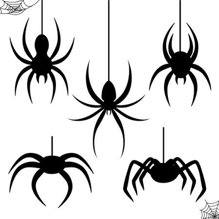 Halloween celebration stencil spider black cutのイラスト素材