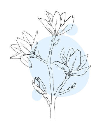 hand drawn sketch black and white leaves flowerのイラスト素材