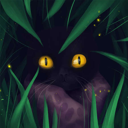 illustration postcard background cat black yellow eyesのイラスト素材