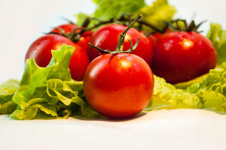 Tomatoes red and green lettuce on white backgroundの写真素材