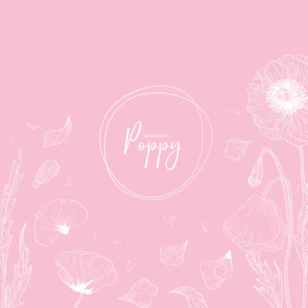 Collection set of poppy flower and leaves drawing illustration. for pattern, logo, template, banner, posters, invitation and greeting card design.のイラスト素材