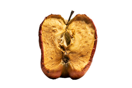 Dried apple on a white background, isolate, close-upの写真素材