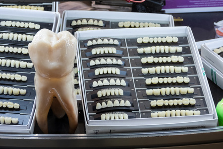 Moscow / Russia - Sept 27, 2018: Crocus Expo, DENTALEXPO, Artificial acrylic teethのeditorial素材