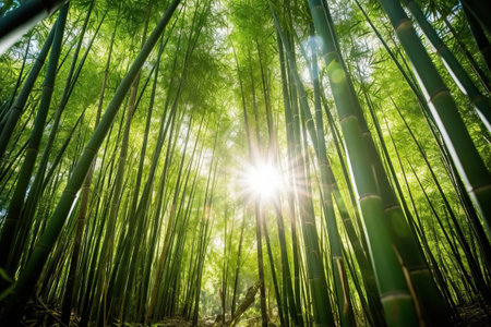 Lush green tropical forest landscape with tall bamboo stalks, sunlight filtering through leaves. Generative AIの素材