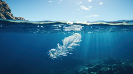 A single white feather floats gracefully on the surface of clear blue water, with sunlight filtering through.の素材