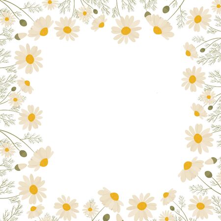 Chamomile frame isolated on white background. Vector illustration of white daisy flowers. Design for herbal tea, natural cosmetics, health care products, aromatherapy, homeopathy.のイラスト素材