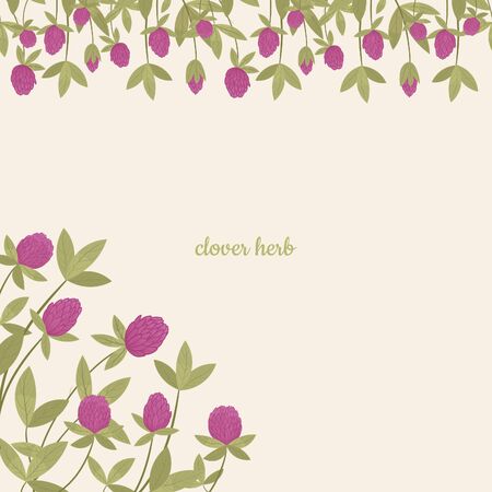 Red or pink clover or Trifolium repens, wild flowers and medicinal herbs. Design for herbal tea, natural cosmetics, perfume, health care products, homeopathy, aromatherapy.のイラスト素材