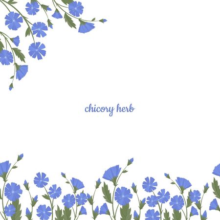 Chicory, wild flowers and medicinal herbs. Design for herbal tea, natural cosmetics, perfume, health care products, homeopathy, aromatherapy.のイラスト素材