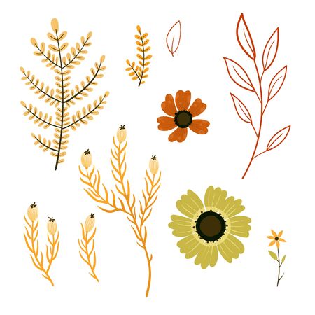 Set of colorful autumn leaves and berries. Fall season. Forest. Simple cartoon flat style. Vector illustrationのイラスト素材