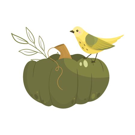 Autumn pumpkin - vegetable graphic. Fall season. Garden plants. Simple cartoon flat style. Vector illustrationのイラスト素材