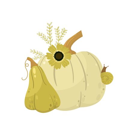 Autumn pumpkin - vegetable graphic. Fall season. Garden plants. Simple cartoon flat style. Vector illustrationのイラスト素材