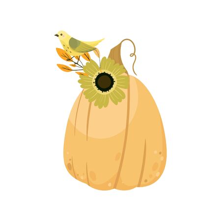 Autumn pumpkin - vegetable graphic. Fall season. Garden plants. Simple cartoon flat style. Vector illustrationのイラスト素材