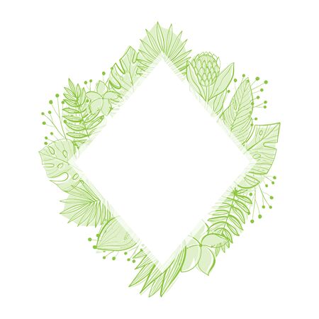 Tropical leaves set. Palm, fan palm, monstera, banana leaves in line style. Sketches of tropical leaves for design.のイラスト素材