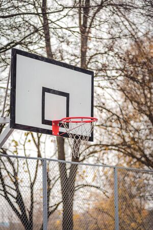 Basketball Hoopの写真素材