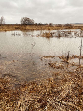 Swamp. Spring flood. High water. spring high water. spilling river in spring. flood in the spring.の写真素材