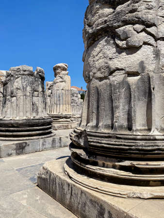 Massive columns of the temple at Didim. A colonnade of massive column bases. Turkey.