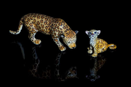 Two panthers on black backgroundの写真素材