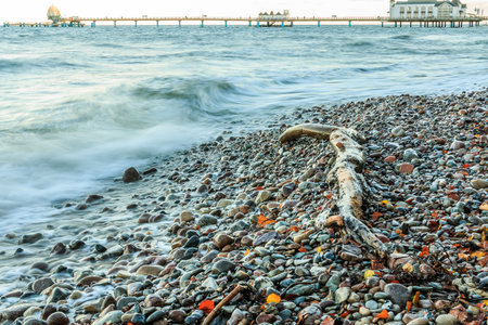 Stony coast on the island of Ruegen. Baltic coast with pier in the background. Light swell with old tree trunk on the coast and leaves in autumn moodの写真素材
