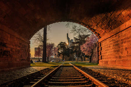 Evening mood with sunset in Frankfurt. Old tunnel with railroad track and park with trees and flowers. Skyscrapers of the skyline in the background of the financial districtの写真素材