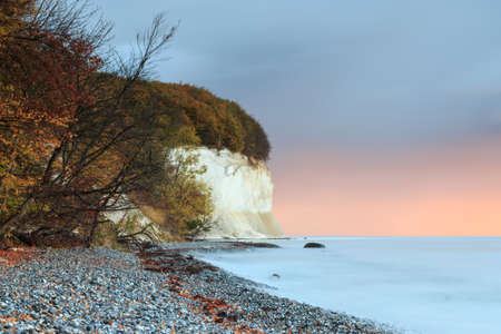 Chalk cliffs on the baltic sea to the sunrise in autumn. the sky turns reddish clouds. In the foreground is a natural beach with trees and shrubs - nature parkland jasmundの写真素材