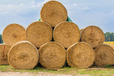 stacked hay bales after harvest at the edge of the field. Dry straw pressed into individual straw bales. Pile of straw bales. Structures of hay and straw. clouds at backgroundの写真素材