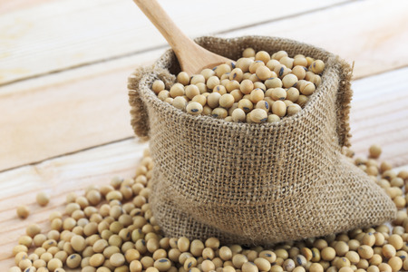 Soybean in sackの写真素材