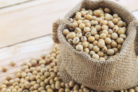 Soybean in sack