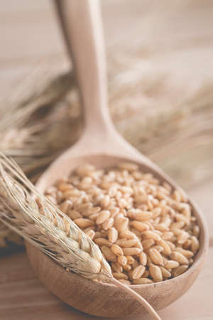 Vintage Barley beansの写真素材