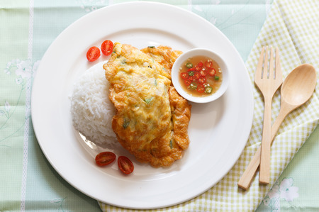 Minced chicken omelet over riceの写真素材