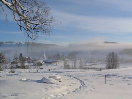 Winter landscape with mist ans tracks in snowの写真素材