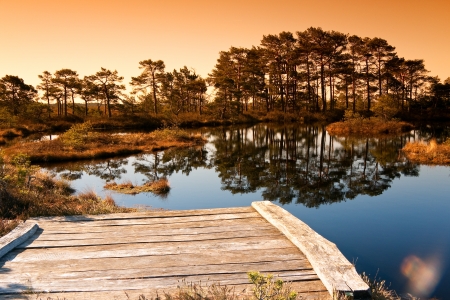Marsh landscape in Estonia  Lake in foreground with swimming platform and trees in background の写真素材