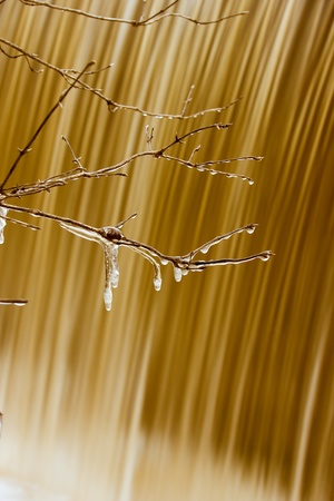 Icicles hanging on tree branches and wall of waterfall in the background の写真素材
