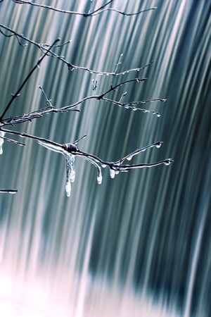 Icicles hanging on tree branches and wall of waterfall in the background の写真素材