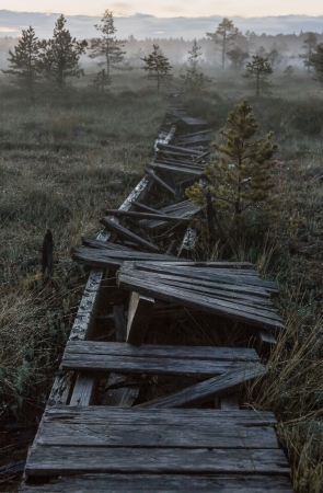 Broken footway in a marsh in dark night in Estoniaの写真素材