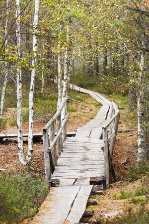 Wooden bridge in the middle of boardwalk in forest at autumnの写真素材