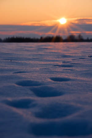 Deep foot prints in thick snow on a field at golden sunsetの写真素材